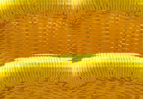 Plastic profiles for furniture