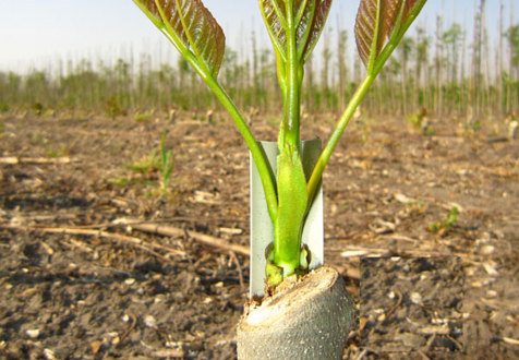 Greenhouse profiles with biodegradable clips